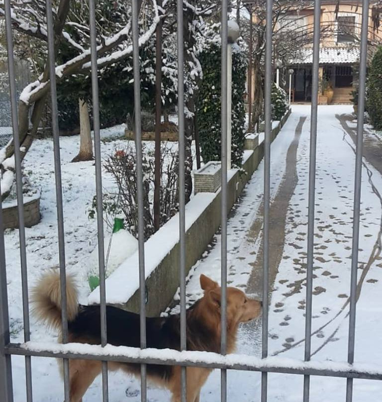 Casa de' Trinci B&B主图