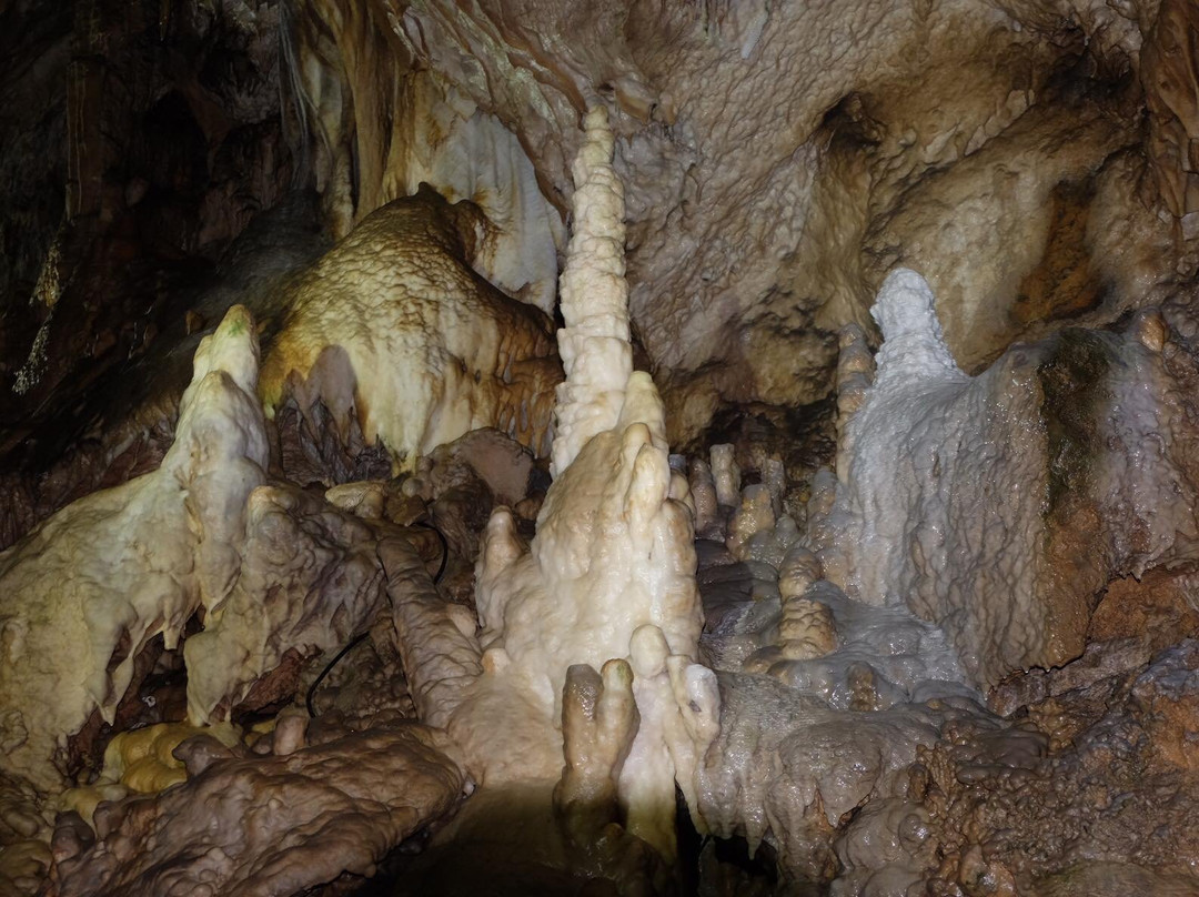 Domaine Des Grottes De Han景点图片