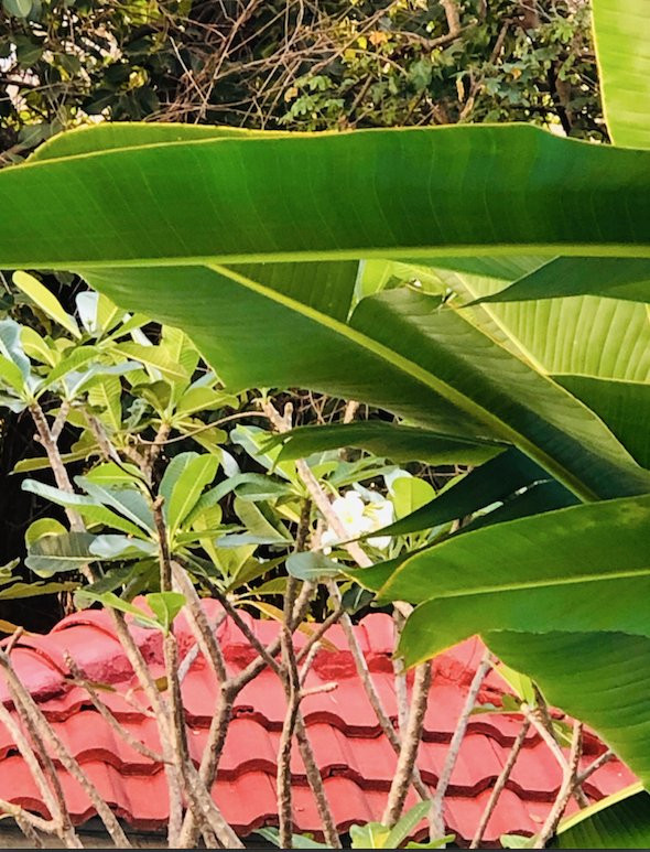 Hotel de L'Homme主图