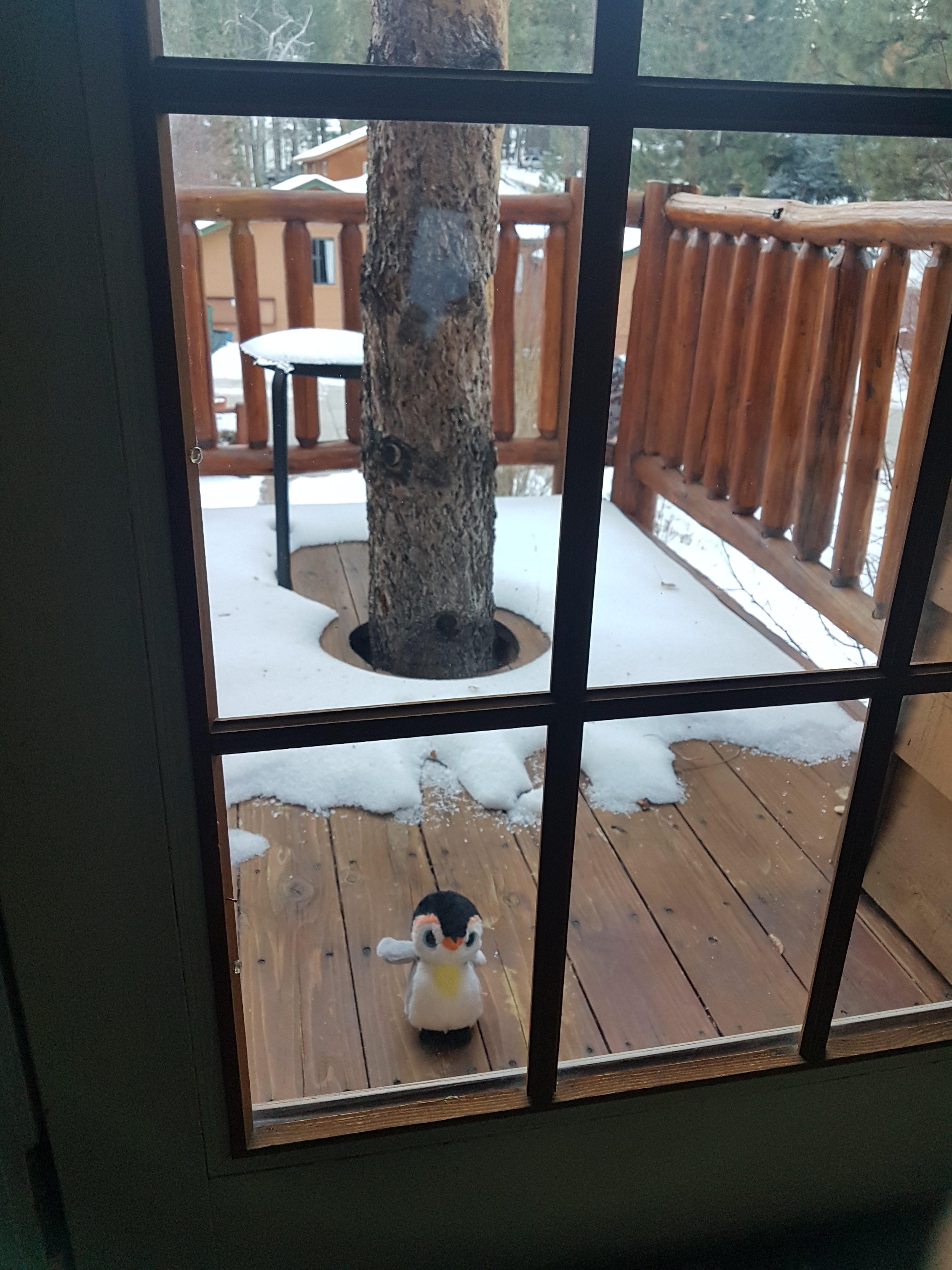 Alpenhorn Bed and Breakfast Inn-官方