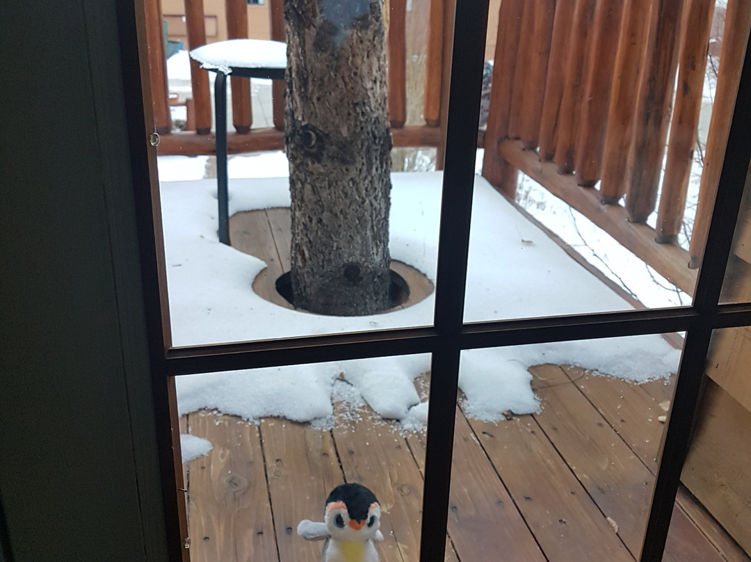 Alpenhorn Bed and Breakfast Inn主图