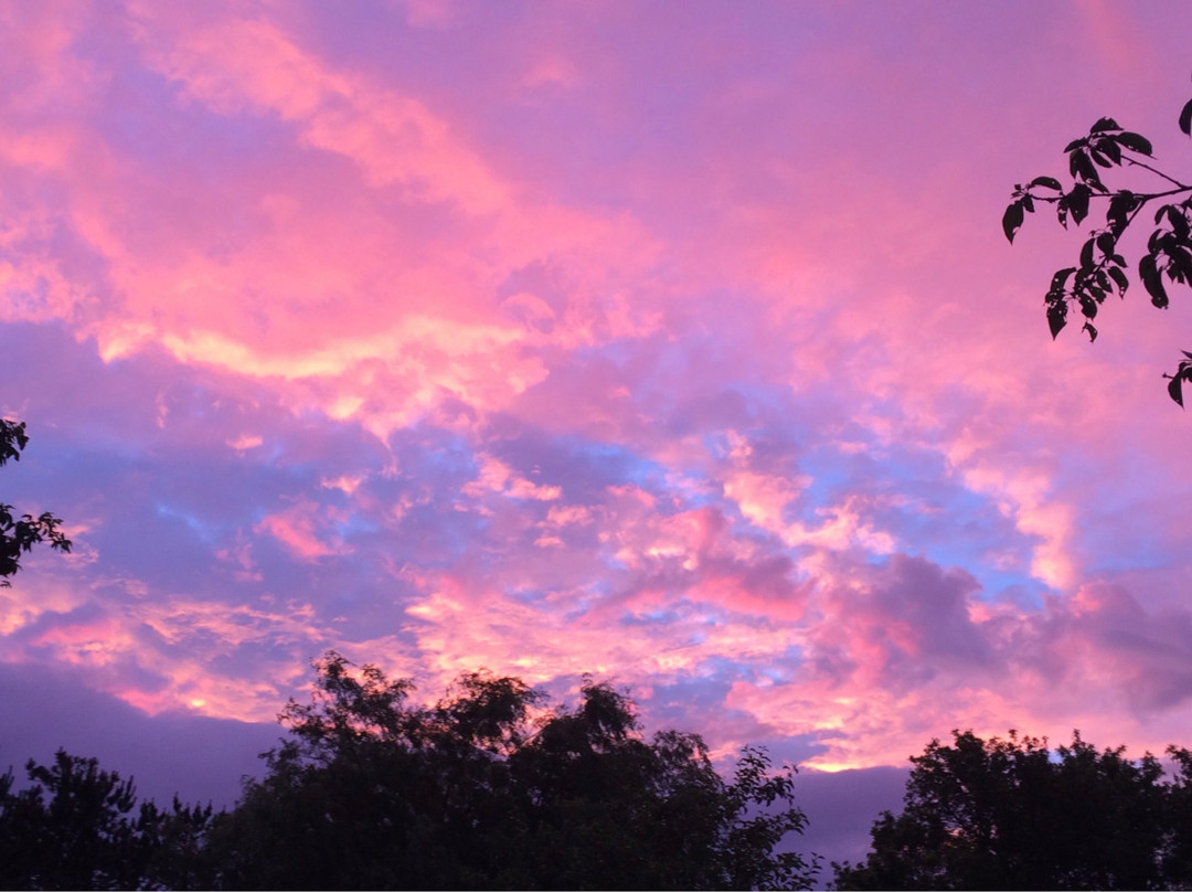 Coyote Hill Golf Course-Newport Landing必去景点