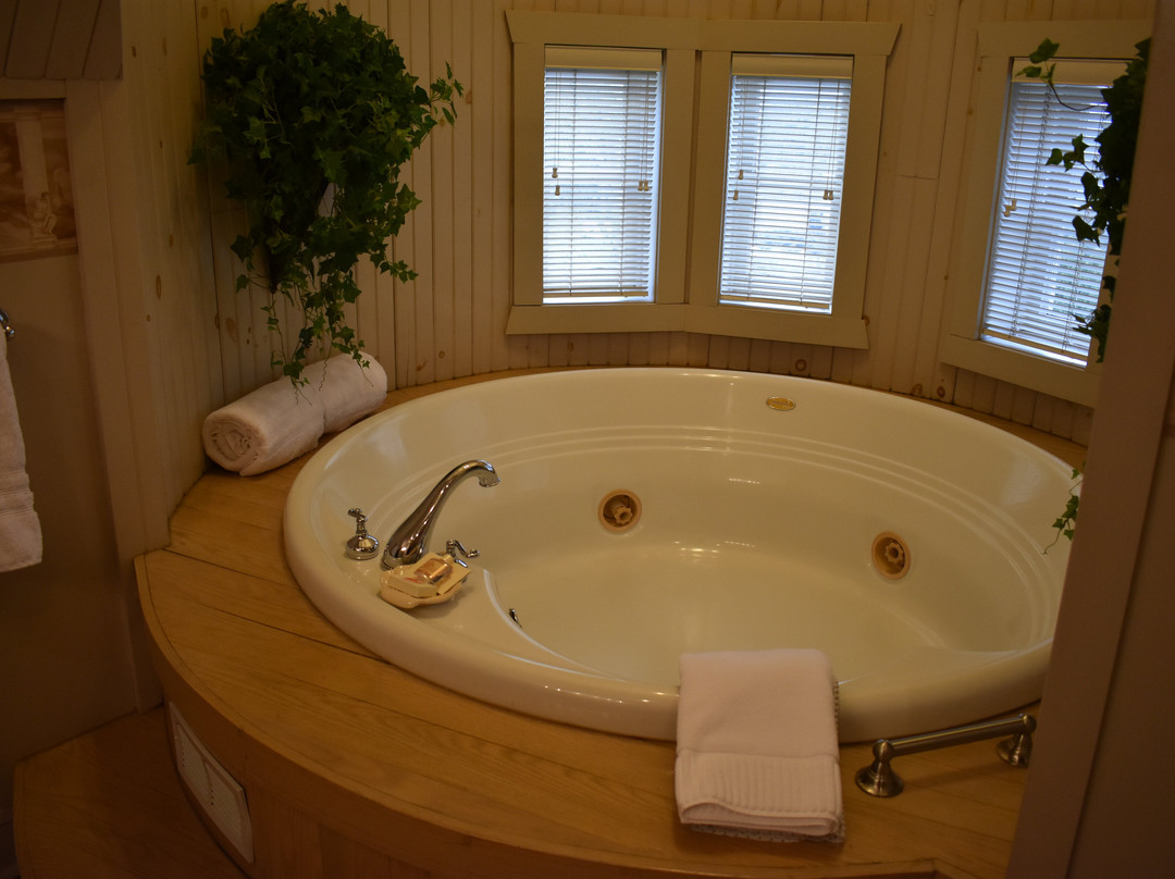 Buhl Mansion Guesthouse & Spa主图