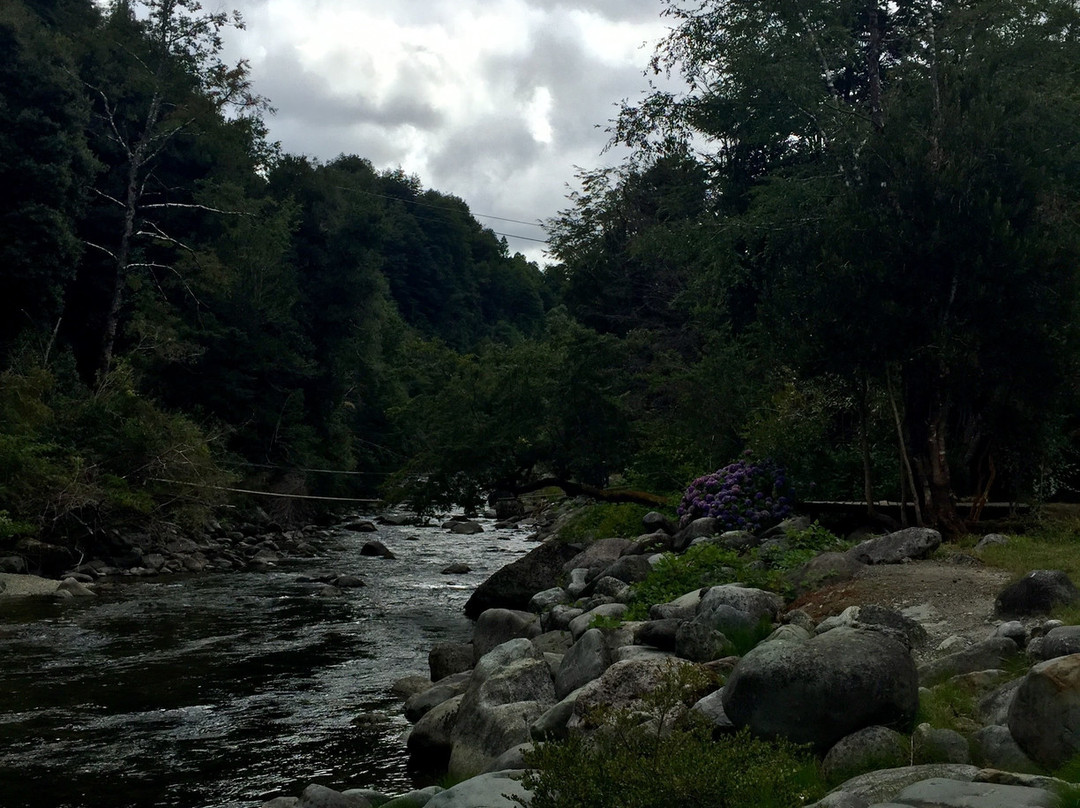 Hotel & Termas Huife主图