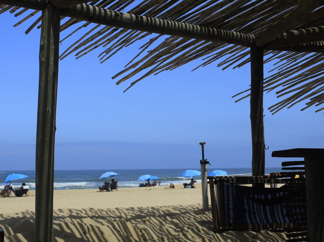 La Viuda del Diablo主图