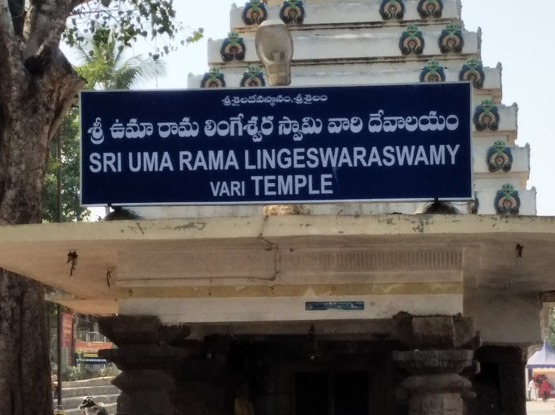 Sri Mallikarjuna Swamy Temple景点图片