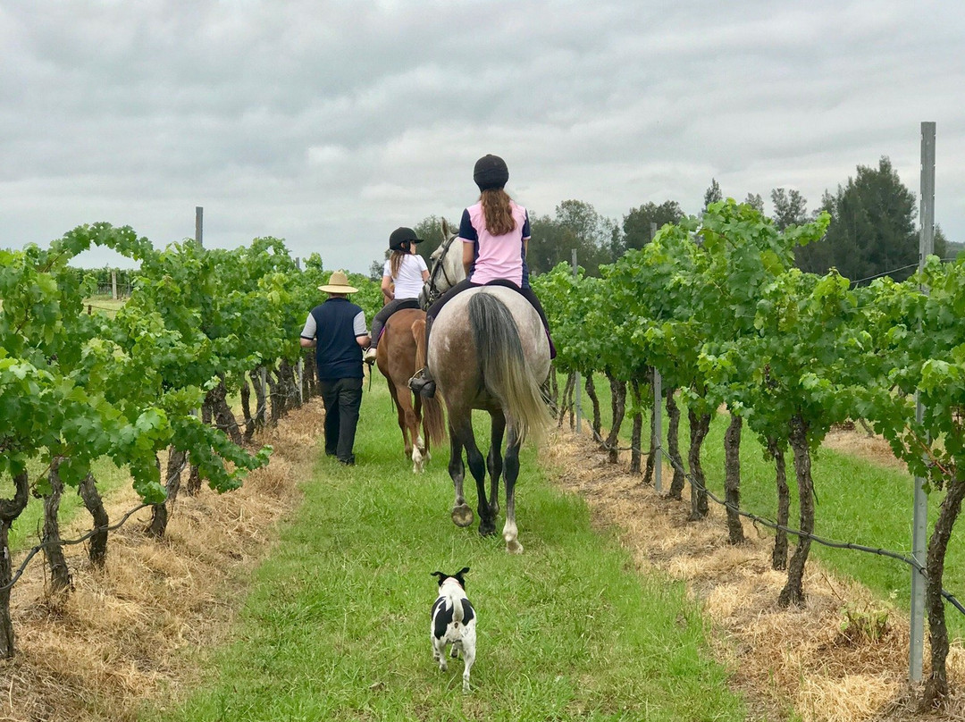 Misty Glen Wines - Closed景点图片