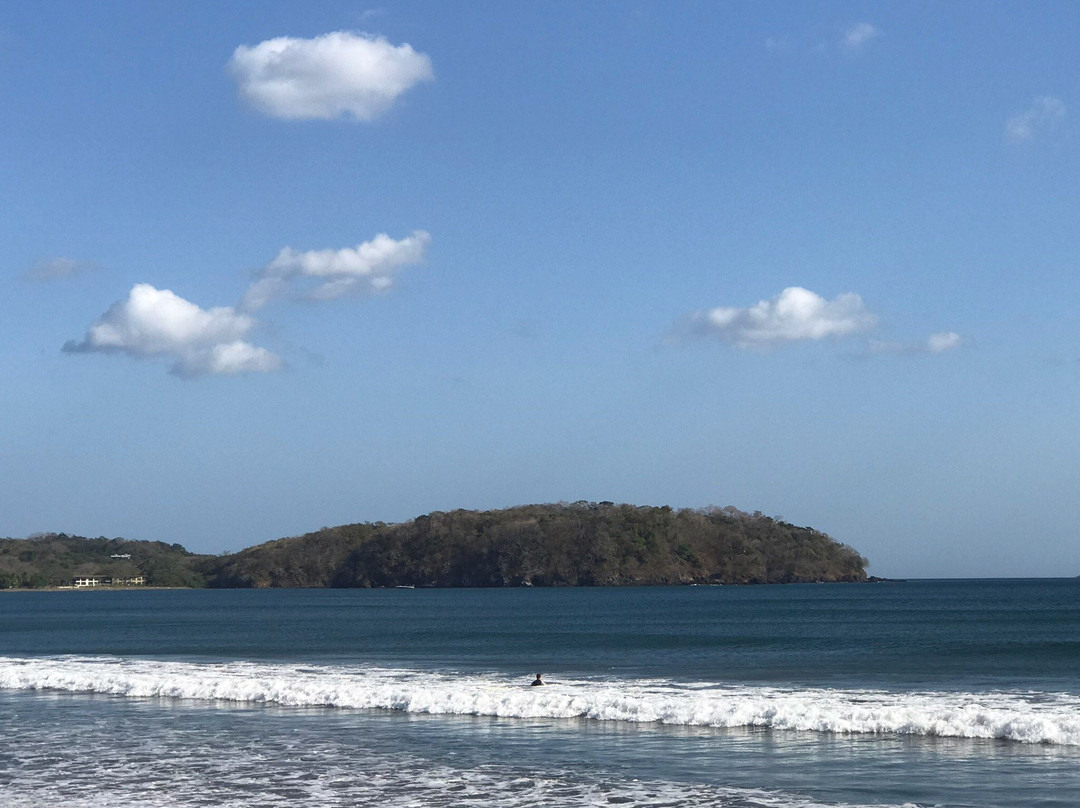 Surf Dojo景点图片