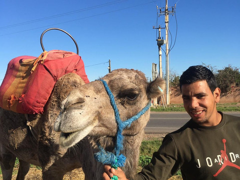 马拉喀什一日游-马拉喀什必去景点