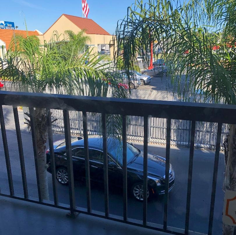 Best Western Orlando West主图