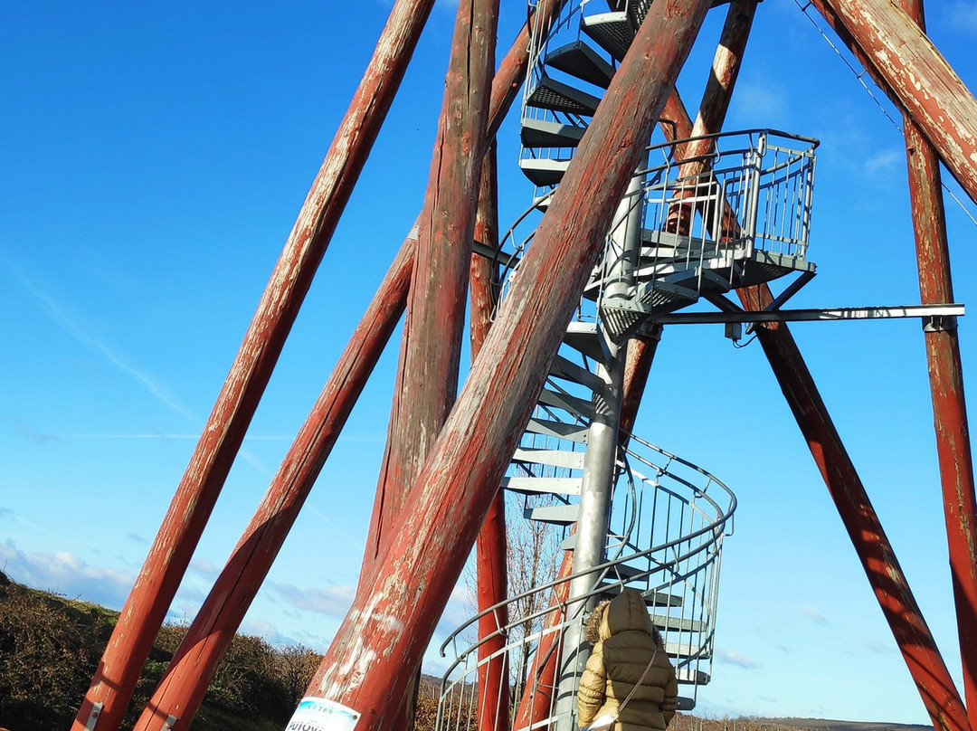 Lookout Mountain Cow-Boretice必去景点