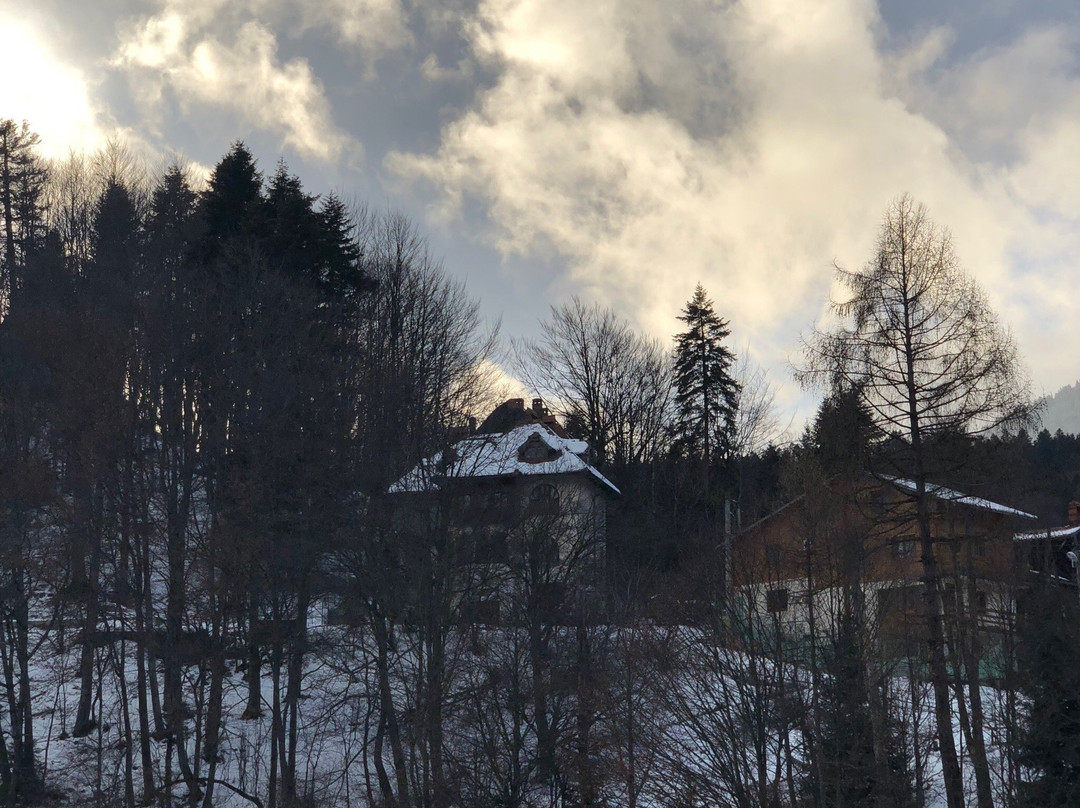 Sinaia Town Hall景点图片