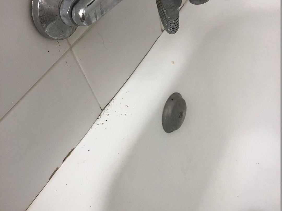 Hostal Restaurante Pou des Lleo主图