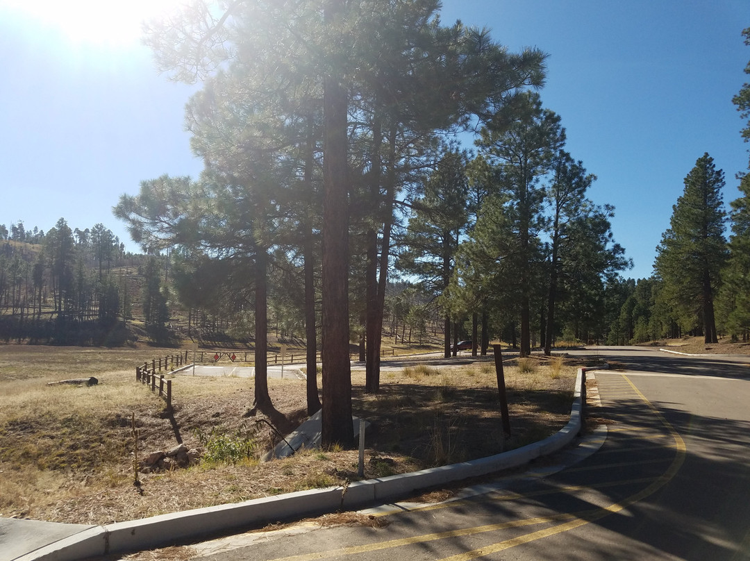 Black Canyon Lake-Forest Lakes必去景点