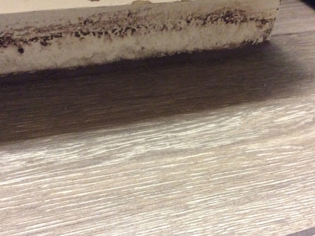 Indian Palms Vacation Club主图