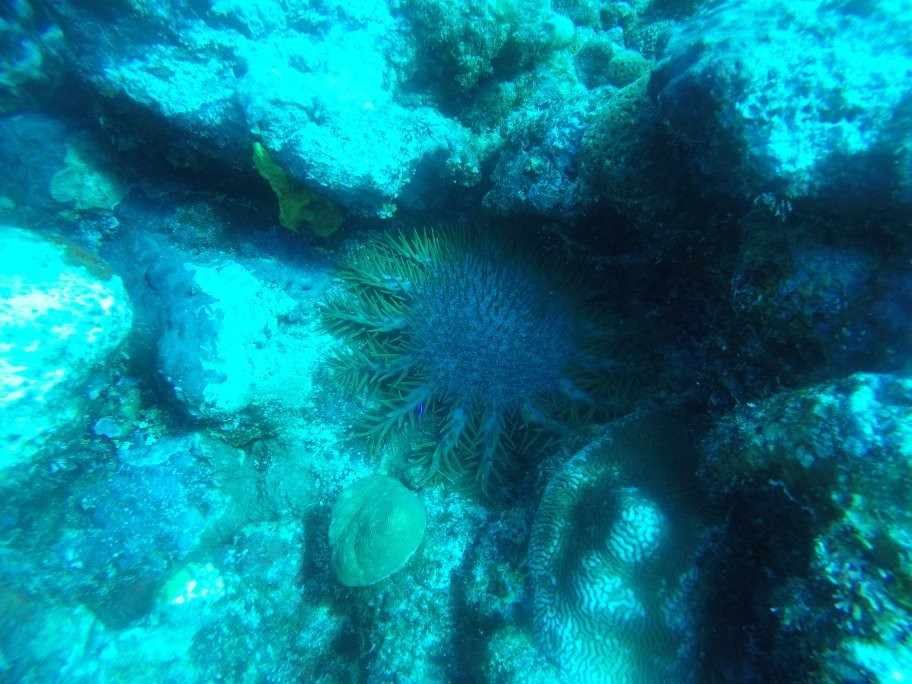 S2 Club Guam-Piti必去景点