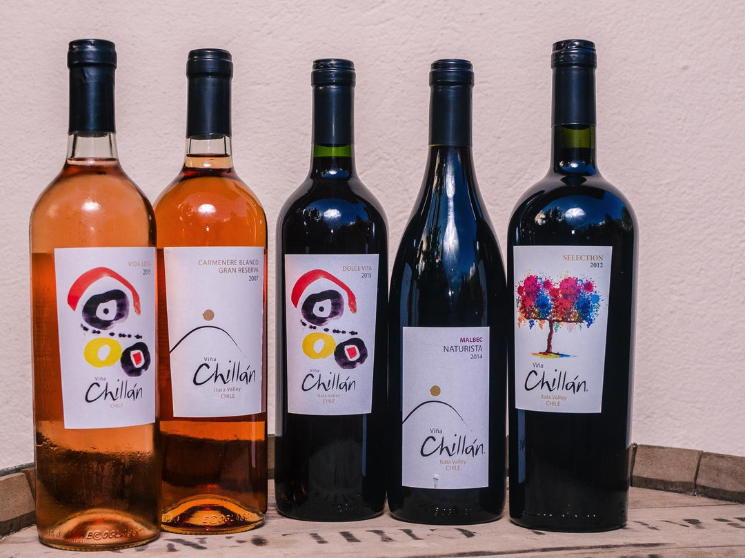 Hotel Viña Chillàn主图