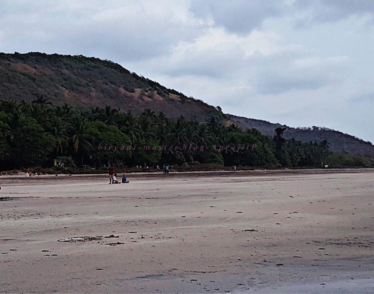 Om Shanti Beach Resort-泳池
