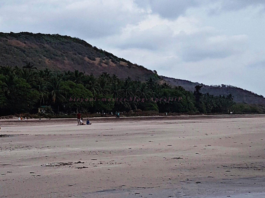 Om Shanti Beach Resort主图