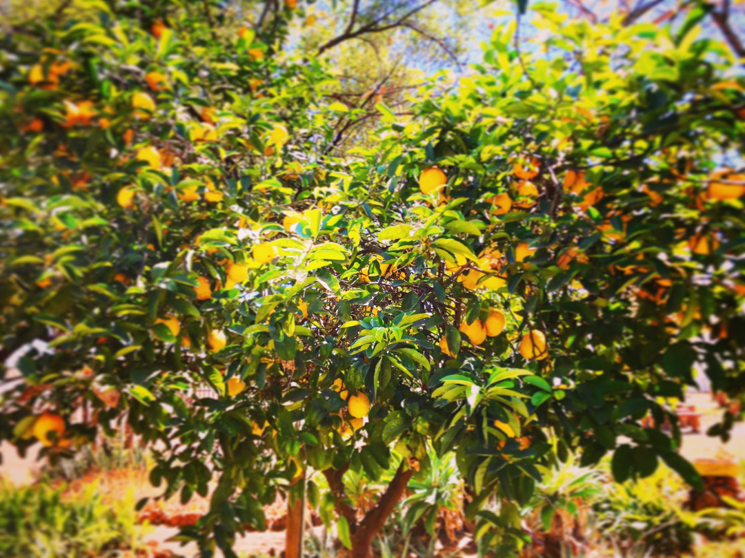 Bundhu-Rus Tours-哈曼斯克拉尔必去景点