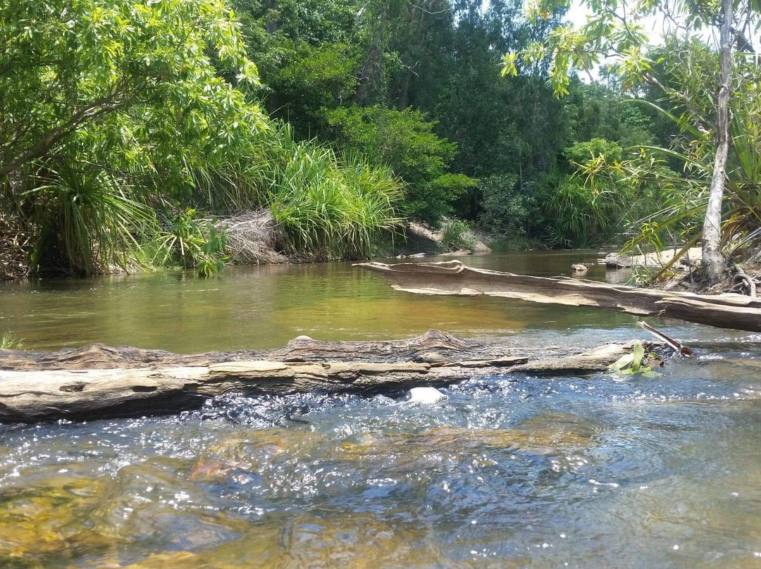 Tjuwaliyn (Douglas) Hot Springs Park-Douglas-Daly必去景点