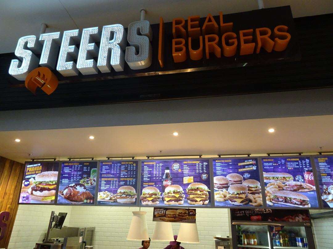 Steers