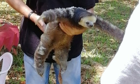 Association Chou Ai-Macouria必去景点