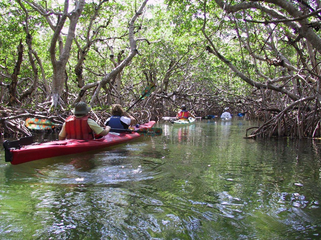 Lazy Turtle Beach Rentals-安娜玛丽亚岛必去景点