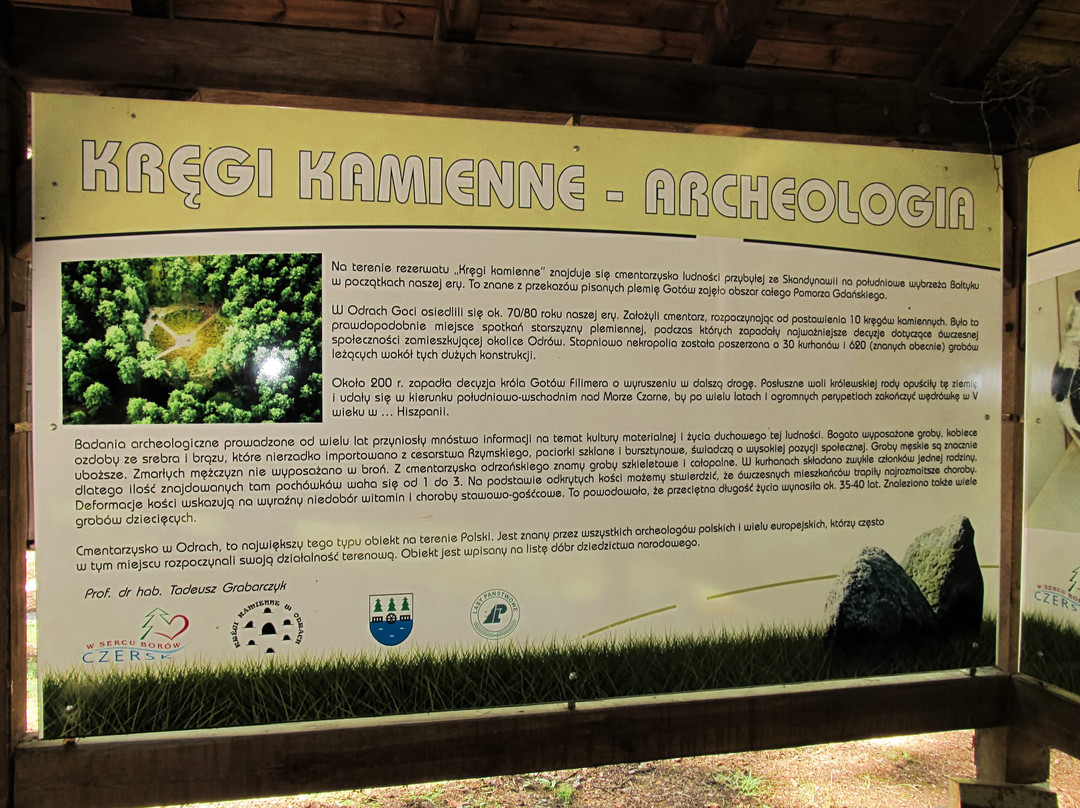 Rezerwat przyrody Kręgi Kamienne景点图片