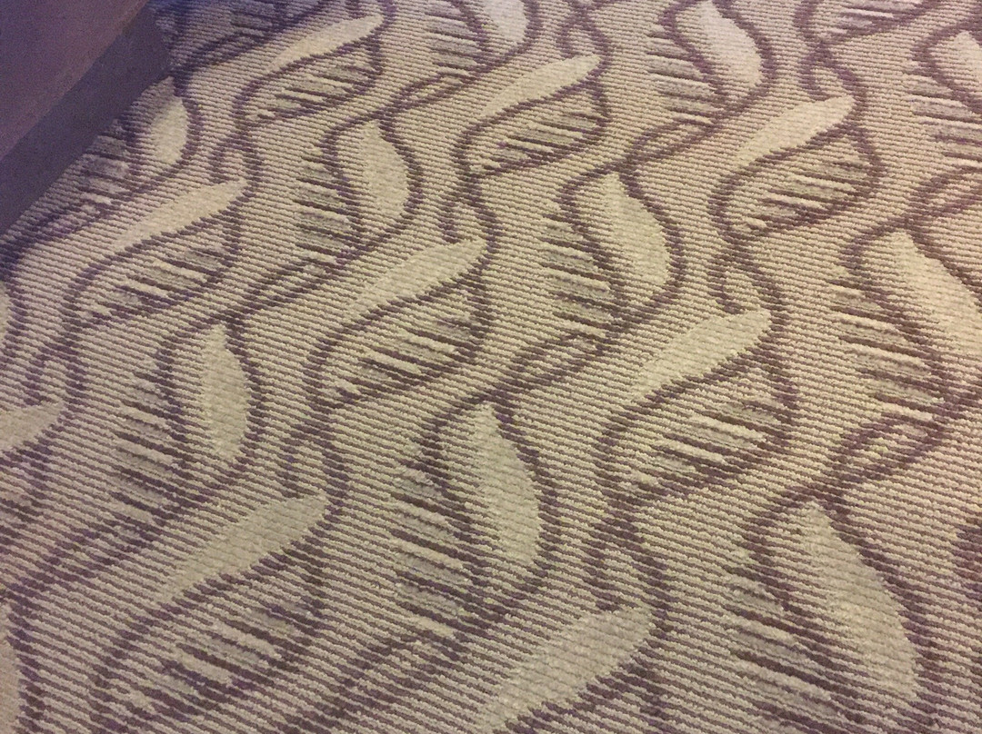 Lacombe Motor Inn主图