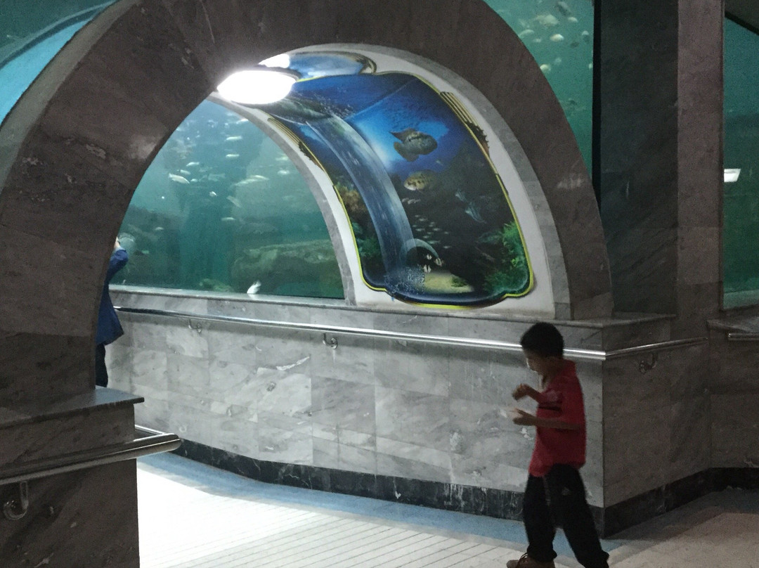 Mueang Roi Et Municipality Aquarium景点图片