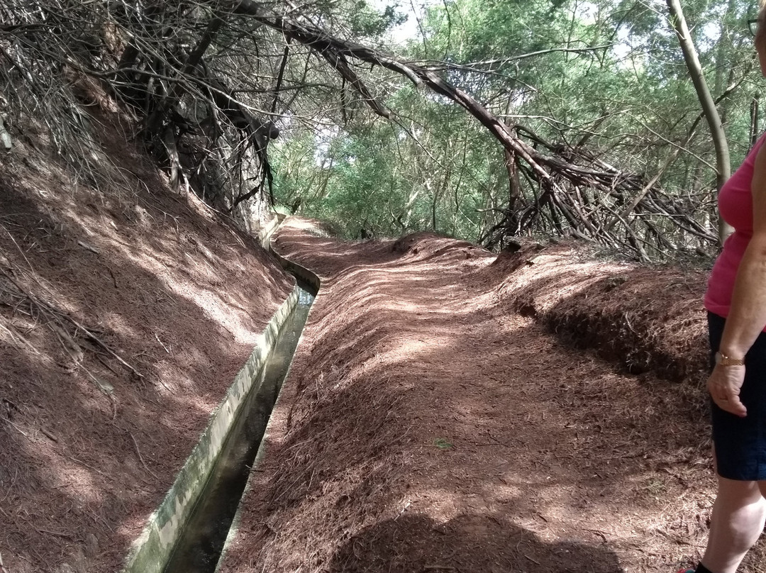 Levada do Canical景点图片