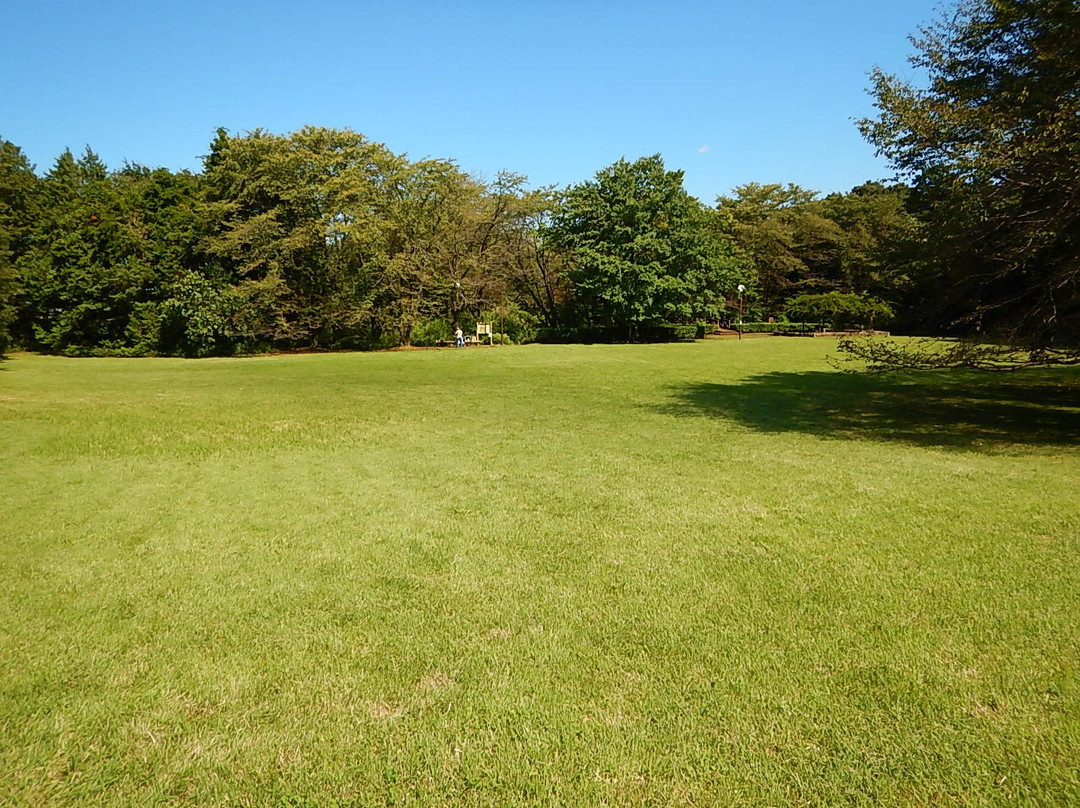 Katakurajoseki Park-八王子市必去景点