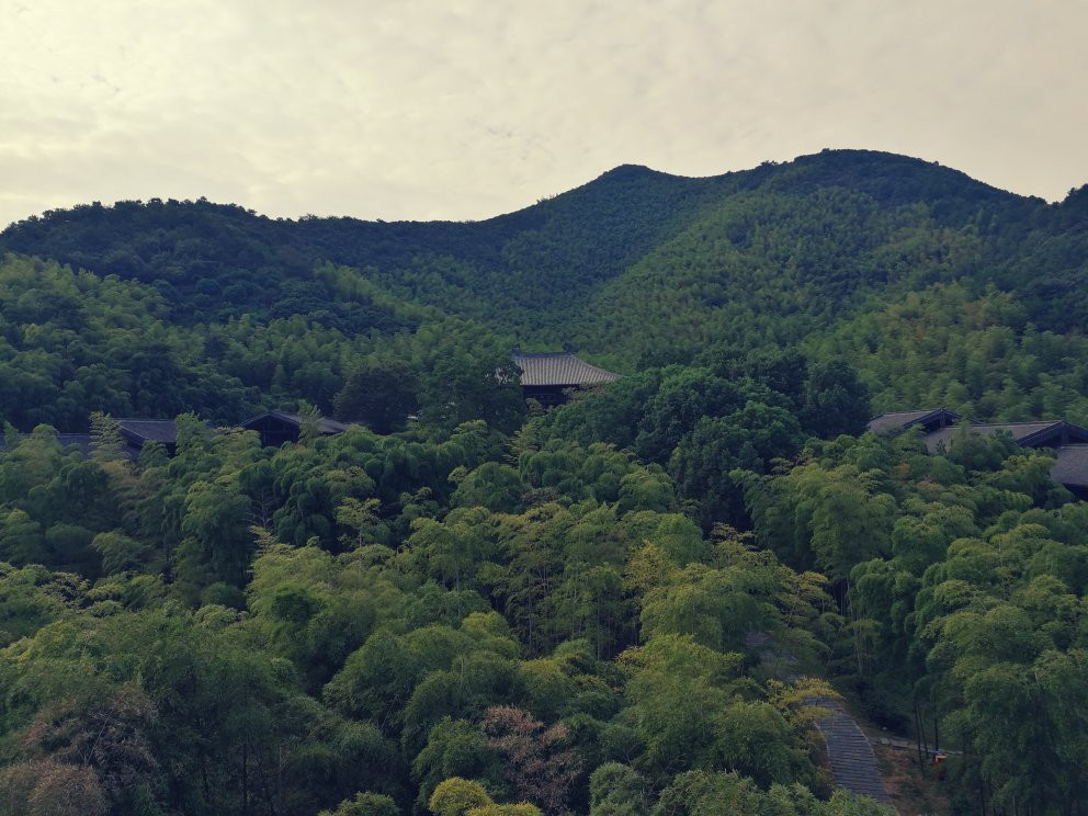 大唐贡茶苑-长兴必去景点