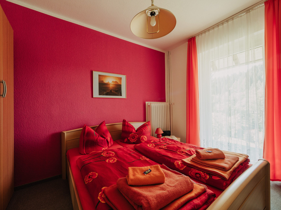 Pension Haus Vogelsang主图