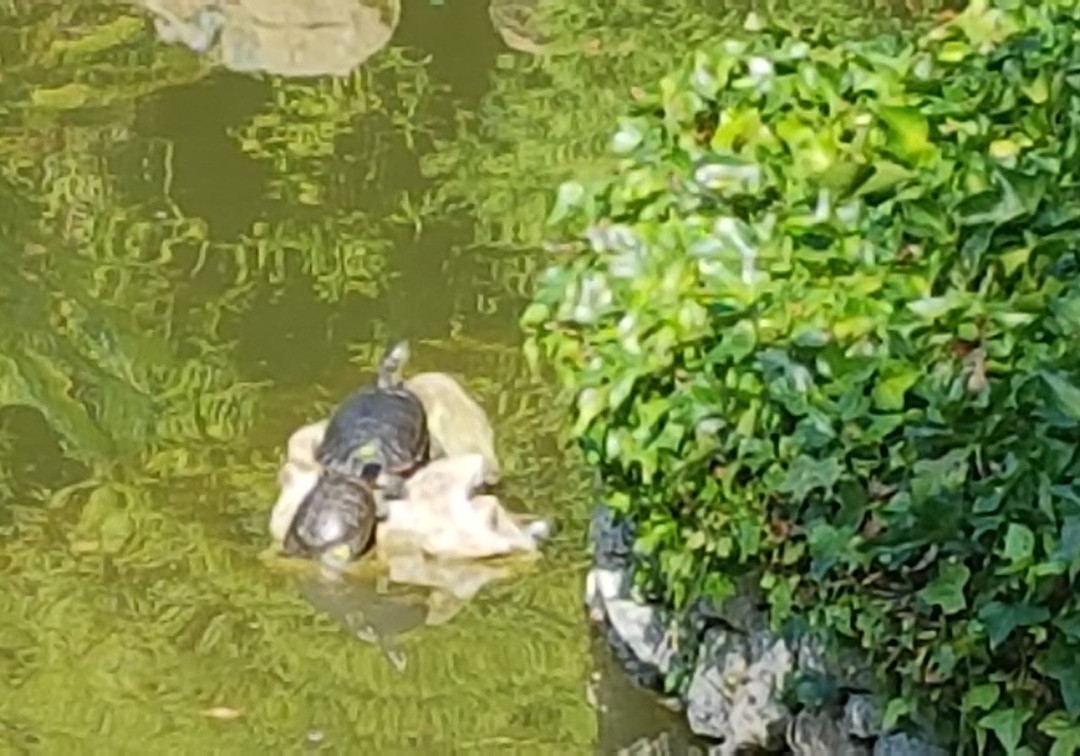 Parque Jose Marti景点图片