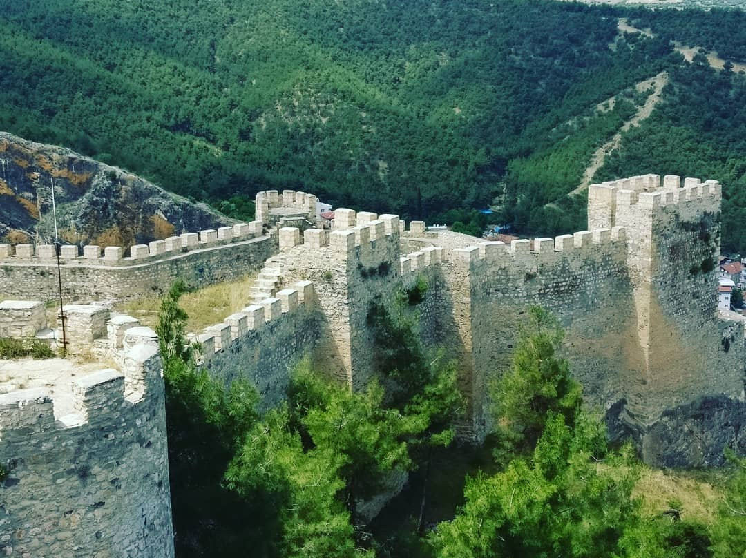Boyabat Kalesi景点图片