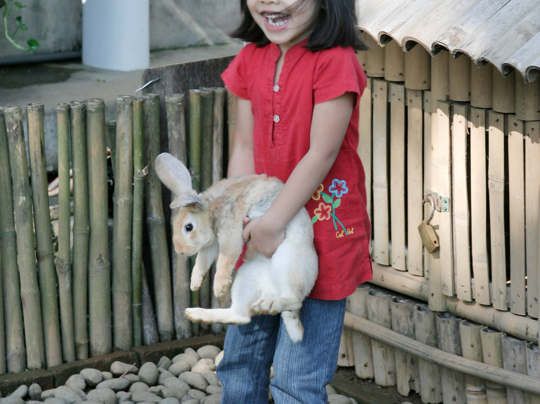 Rabbit Village景点图片