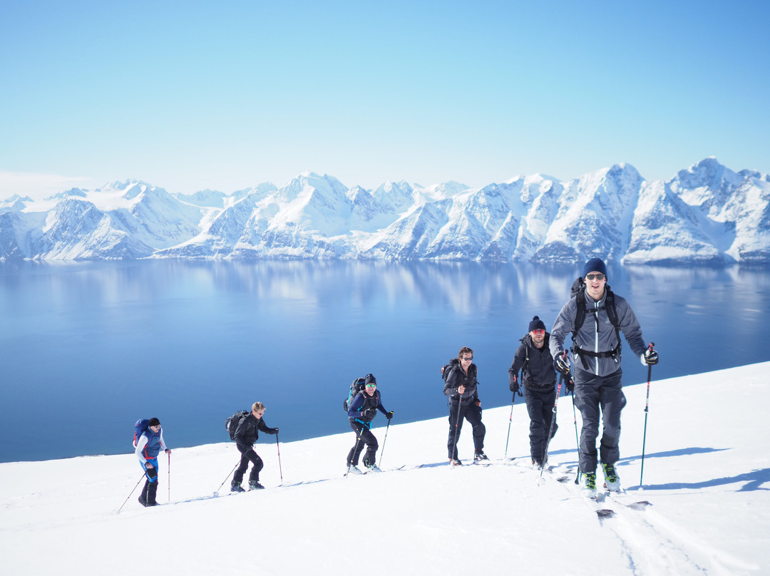 Ascent Descent The Lyngen Mountain Guides景点图片