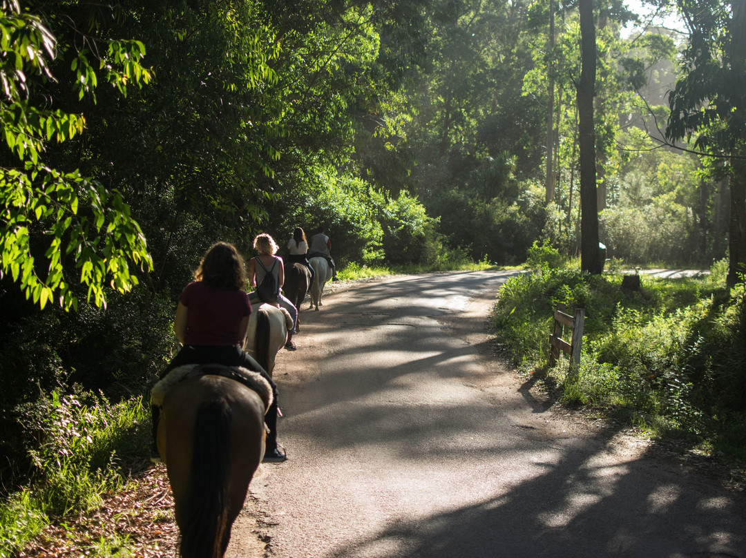 Cabalgatas Punta del Diablo-Punta del Diablo必去景点