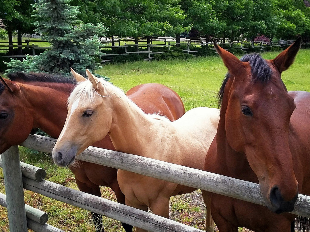Log Home Bed & Breakfast主图