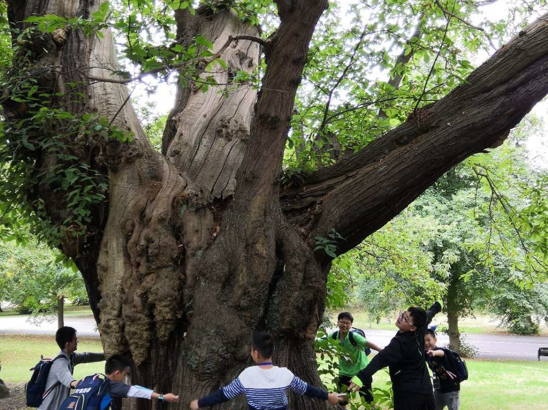 北纬55°：英国本地导游-伦敦必去景点