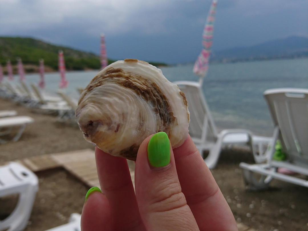 Psili Ammos Beach景点图片