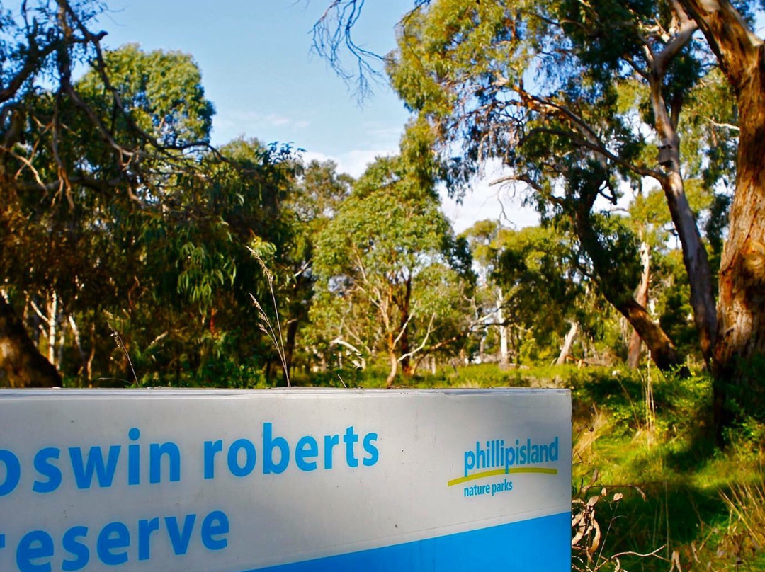 F Oswin Robert Koala Reserve-菲利普岛必去景点