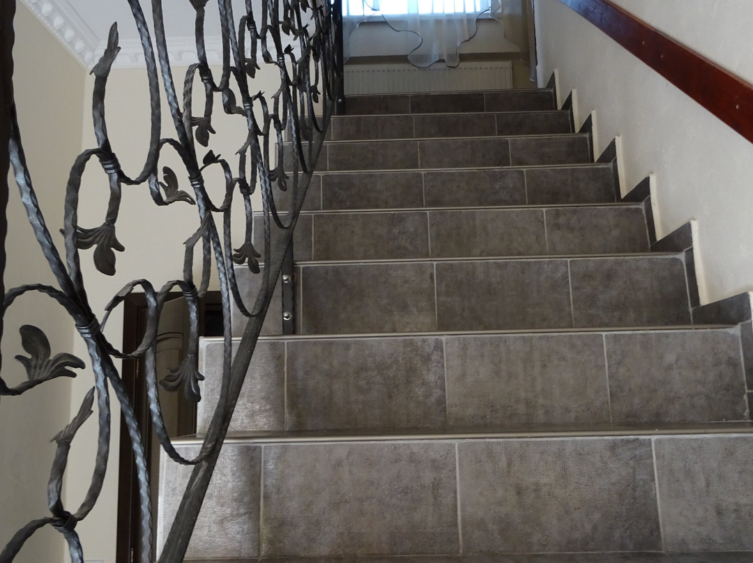 Pensiunea Magnolia主图