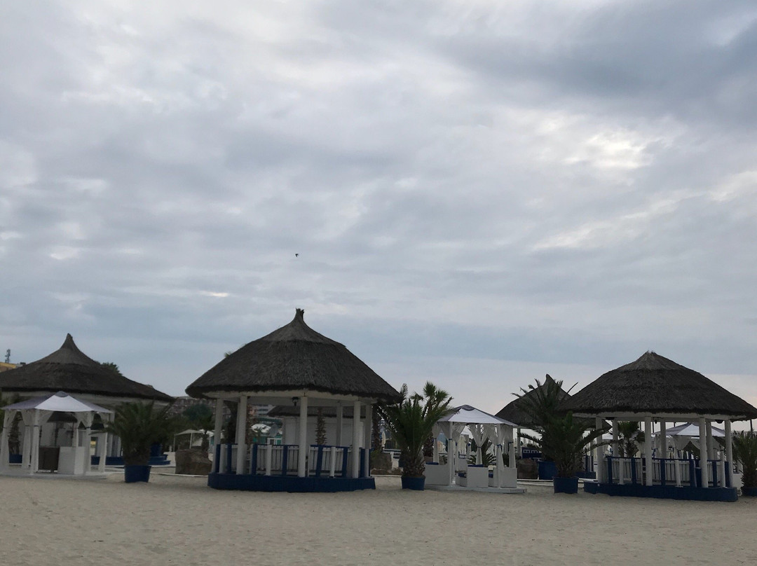 Vega Vintage Beach景点图片