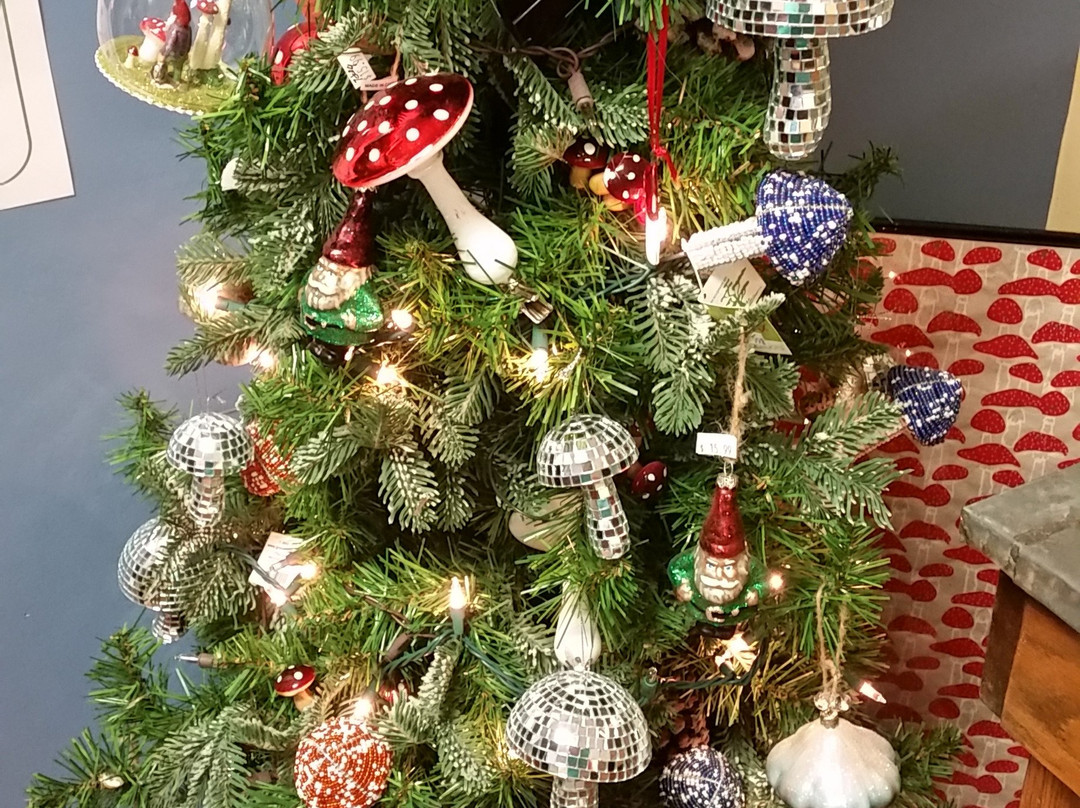 The Mushroom Cap-肯尼特斯奎尔必去景点