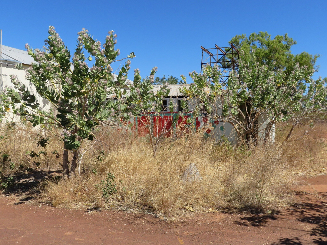 Daly Waters Aviation Complex-Daly Waters必去景点