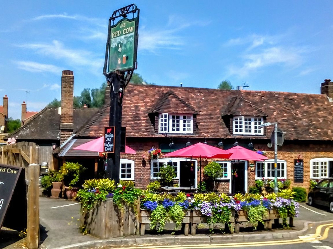 The Red Cow
