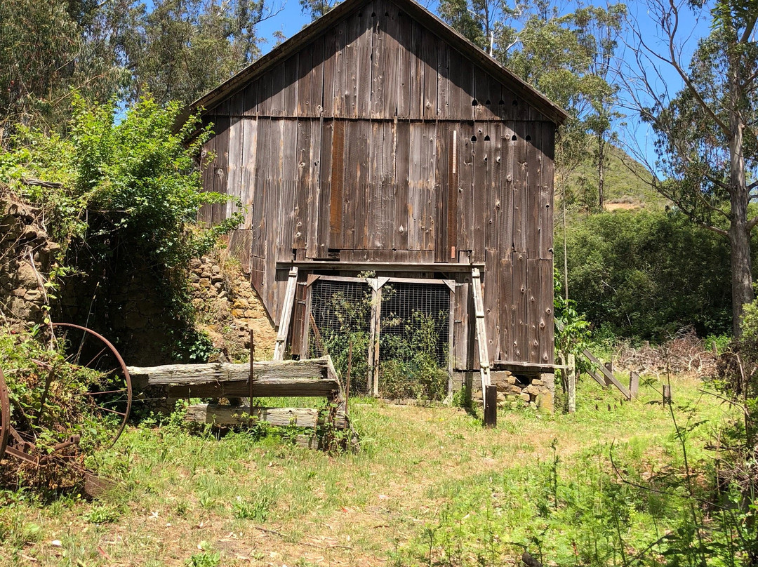 Burleigh Murray Ranch State Park-半月湾必去景点